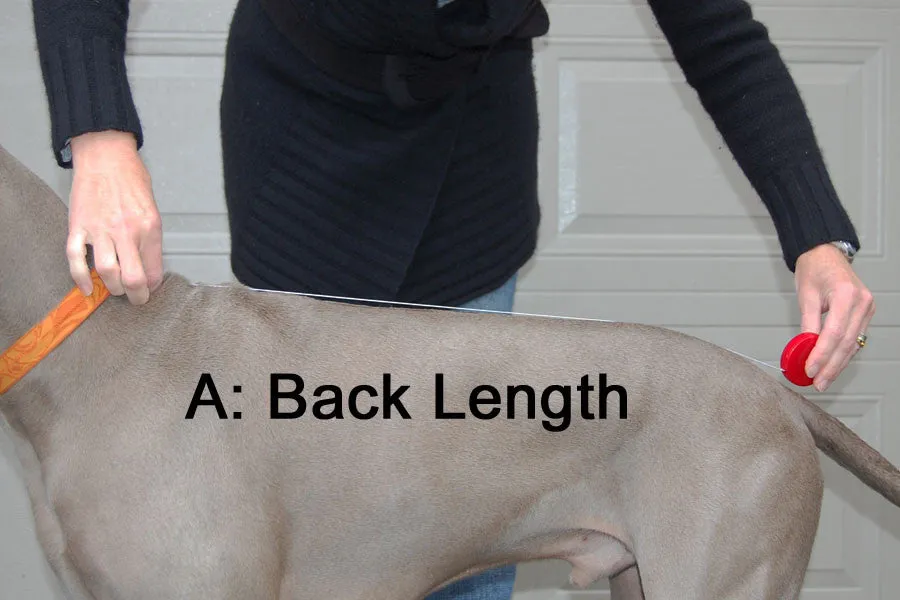 Fleece Sweater for Large Dogs by Chilly Dogs