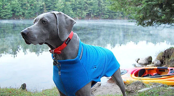 Fleece Sweater for Large Dogs by Chilly Dogs