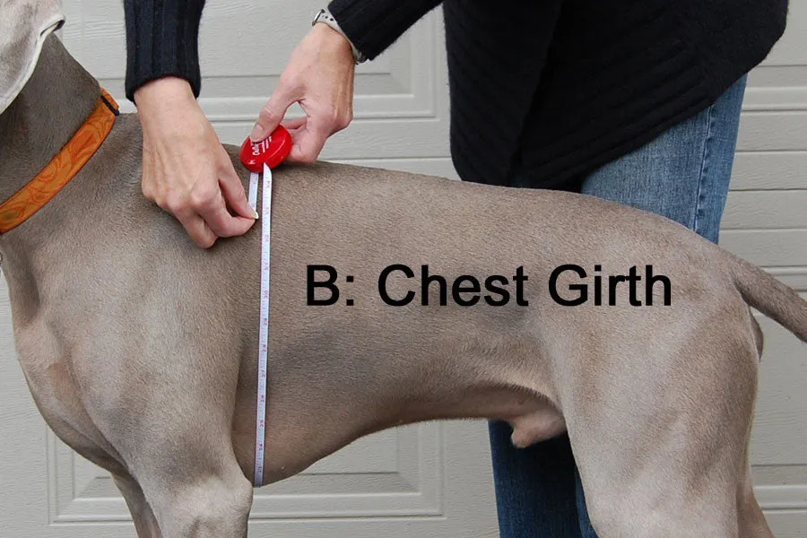 Fleece Sweater for Long & Lean Dogs by Chilly Dogs