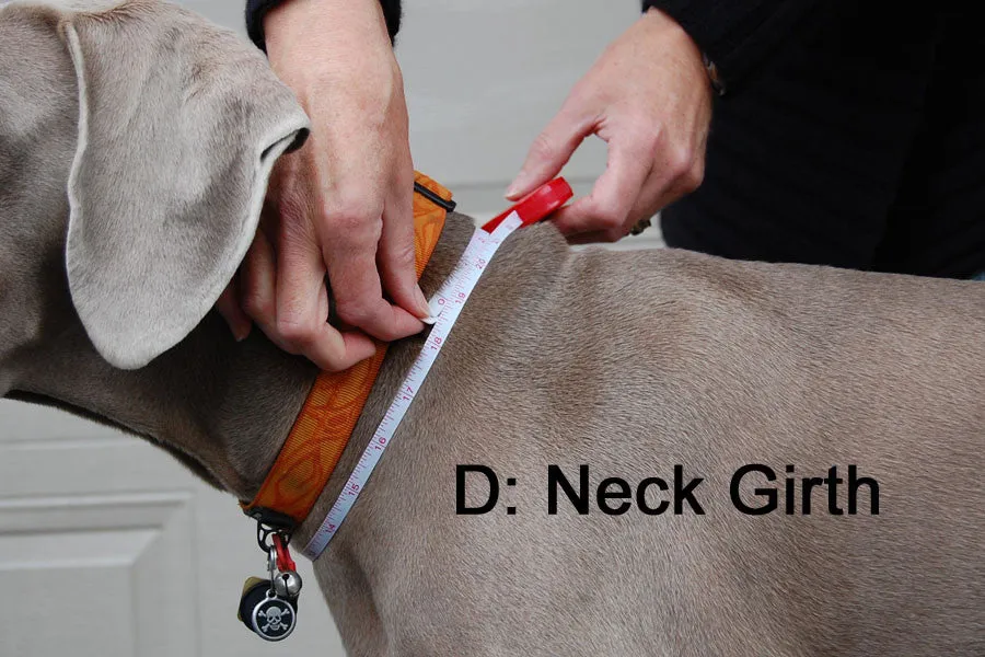 Fleece Sweater for Long & Lean Dogs by Chilly Dogs