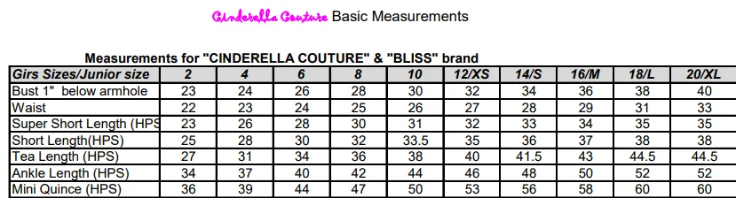 Off The Shoulder Floral Slit Gown by Cinderella Couture USA AS8050J - Special Occasion/Curves